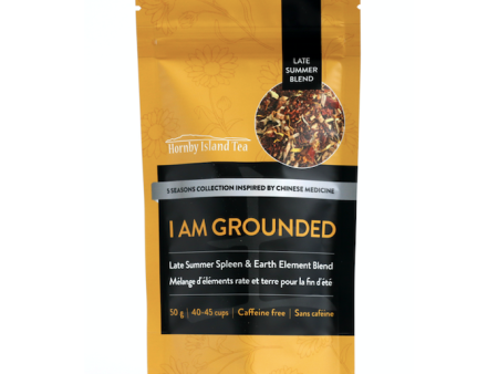 I am Grounded Online Hot Sale