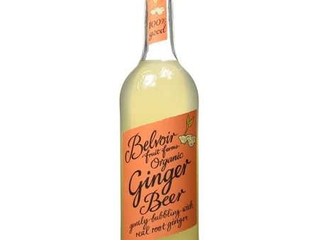 Ginger Beer Organic Cheap