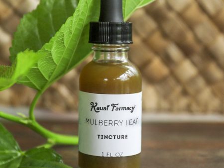 NEW! Mulberry Leaf Tincture Sale