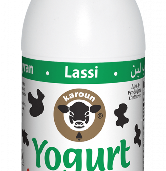 Yogurt Drink Mint Flavor For Sale