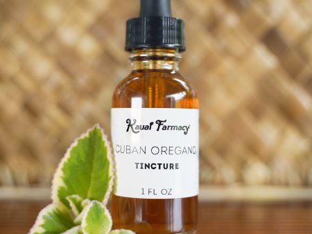 Cuban Oregano Tincture Supply