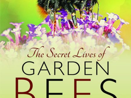 The Secret Lives of Garden Bees For Cheap