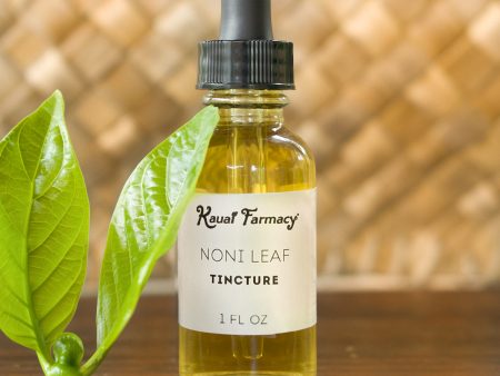 Noni Leaf Tincture For Sale