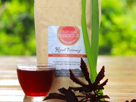 Tropical Hibiscus on Sale