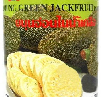 Green Jackfruit in Brine For Sale