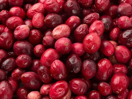 Cranberry, Freeze Dried Online Sale