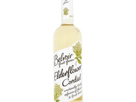 Elderflower Syrup Mixer Online