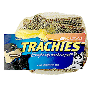 Trachies For Discount