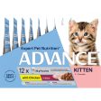 ADVANCE™ Kitten Chicken in Gravy Pouches Online Hot Sale