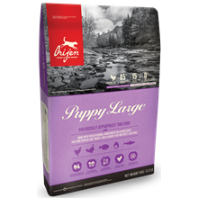 Orijen Large Breed Puppy Dog Food Supply