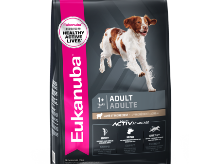 Eukanuba Adult Medium Lamb and Rice Supply