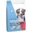 ADVANCE™ Sensitive Skin & Digestion Medium Puppy Turkey and Rice Fashion