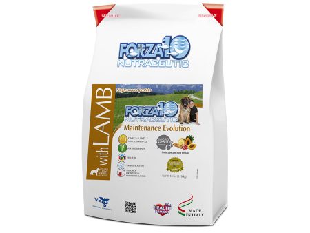 Forza10 Nutraceutic Maintenance Evolution Lamb Dry Dog Food Online now