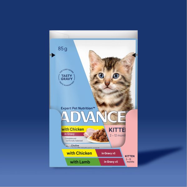 ADVANCE™ Kitten Chicken in Gravy & Lamb in Gravy Multipack Pouches Online Sale