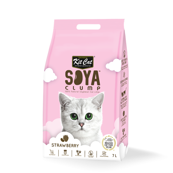 Kit Cat Soya Clump Strawberry Supply