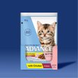 ADVANCE™ Kitten Chicken in Gravy Pouches Online Hot Sale